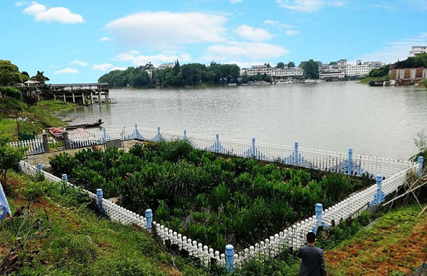 云南省農(nóng)村生活污水處理排放標準